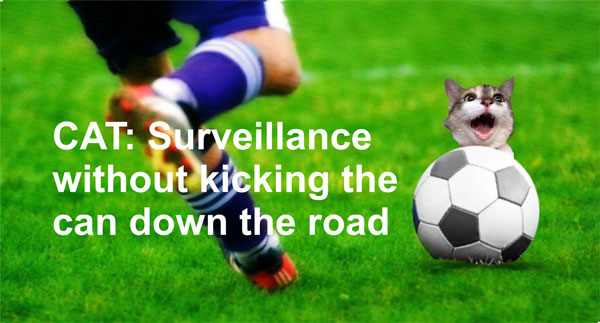 Surveillance without kicking CAT.jpg